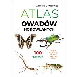 Atlas owadów hodowlanych. 100 gatunków