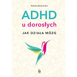 ADHD u dorosłych. Jak działa mózg