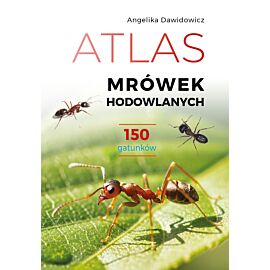 Atlas mrówek hodowlanych. 150 gatunków