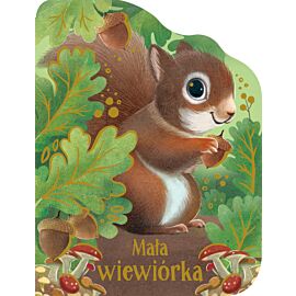 Mała wiewiórka