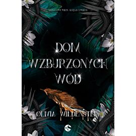 Dom wzburzonych wód. Seria Królestwo Wron. Księga 4