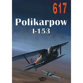 Polikarpow I-153. Tom 617