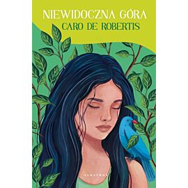 Niewidoczna góra