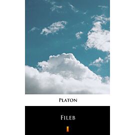Fileb (e-book)