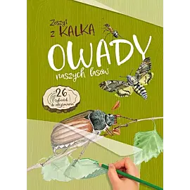 Owady naszych lasów. Zeszyt z kalką