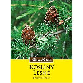 Rośliny leśne