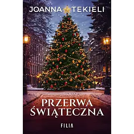 Przerwa świąteczna