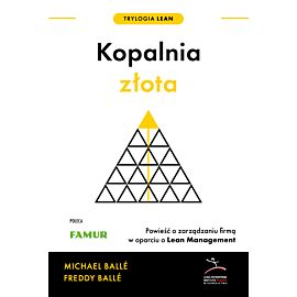 Kopalnia złota, nowe wydanie (e-book)