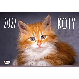 Kalendarz 2027 ścienny Koty KA2