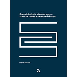 Odpowiedzialność odszkodowawcza za szkodę majątkową w procesie karnym (e-book)