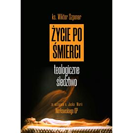 Życie po śmierci (e-book)