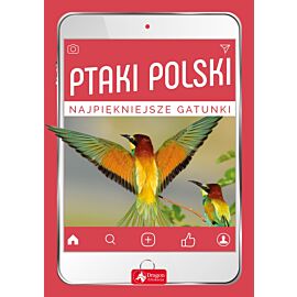 Ptaki Polski