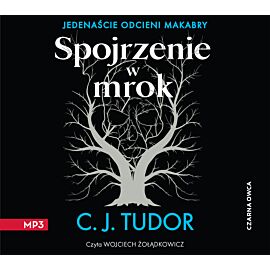 Spojrzenie w mrok (audiobook MP3)