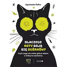 Dlaczego koty boją się ogórków?