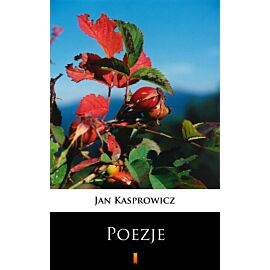 Poezje (e-book)