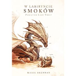 W labiryncie smoków (e-book)