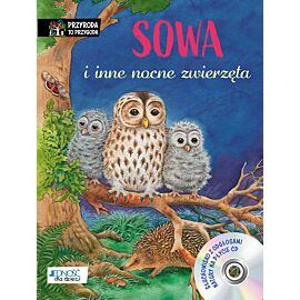 Sowa i inne nocne zwierzęta