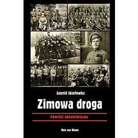 Zimowa droga