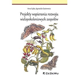 Projekty wspierania rozwoju wielopokoleniowych zespołów
