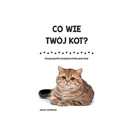 Co wie Twój kot? Poznaj sposób rozumienia świata przez koty