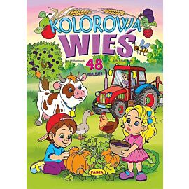 Kolorowa wieś