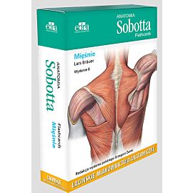 Anatomia Sobotta Flashcards Mięśnie Łacińskie mianownictwo anatomiczne