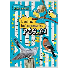 Ptaki. Leśna kolorowanka
