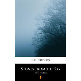 Stones from the Sky (e-book)