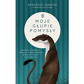 Moje głupie pomysły (e-book)