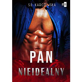 Pan nieidealny