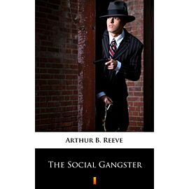 The Social Gangster (e-book)