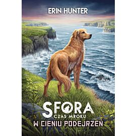 W cieniu podejrzeń (e-book)