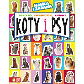 Koty i psy