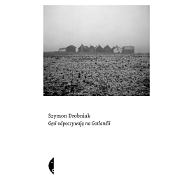 Gęsi odpoczywają na Gotlandii (e-book)