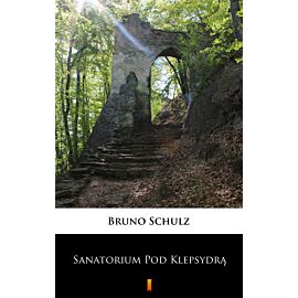 Sanatorium Pod Klepsydrą (e-book)
