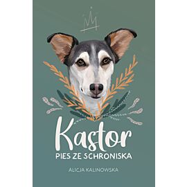 Kastor. PIES ZE SCHRONISKA /NB/