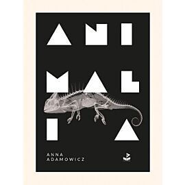 Animalia