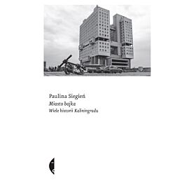 Miasto bajka (e-book)
