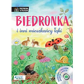 Biedronka i inni mieszkańcy łąki