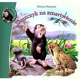 Deszczyk na zmartwienie