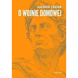 O wojnie domowej