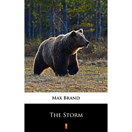 The Storm (e-book)