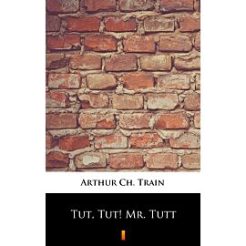Tut, Tut! Mr. Tutt (e-book)