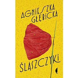 Śląszczyki (e-book)