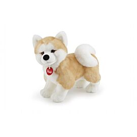 Akita Ascanio M