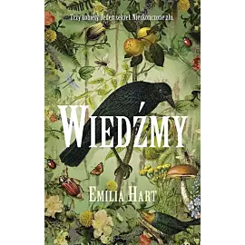 Wiedźmy