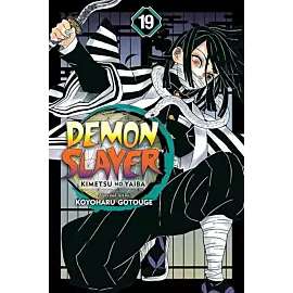 Demon Slayer Kimetsu no Yaiba. Volume 19