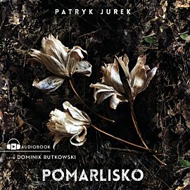 Pomarlisko (audiobook MP3)
