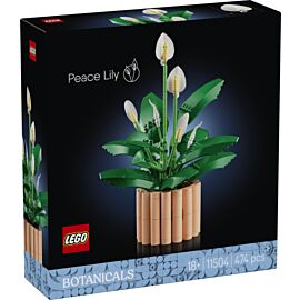 LEGO Botanicals Skrzydłokwiat 11504