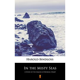 In the Misty Seas (e-book)